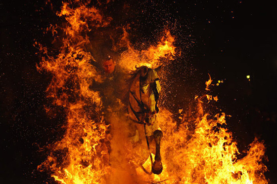 İşte mahşerin atları! - Resim: 4