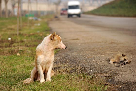 İşte yılın en iyi fotoğrafları - Resim: 4