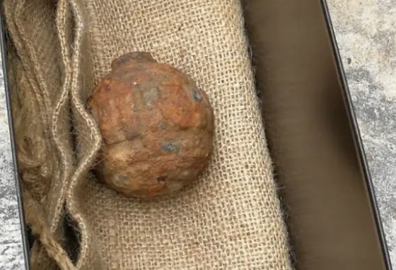 Önce patates sanıldı ardından imha edildi! İşin aslını duyanlar şoke oldu - Resim: 1