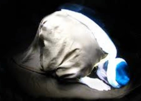 Hayata veda eder gibi namaz kıl - Resim: 2