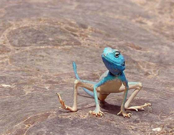 Günün ilginç fotoğrafları - Resim: 2