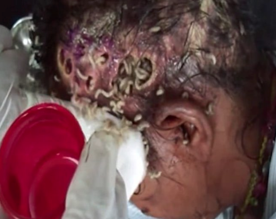 Tecavüz edildi yol kenarına atıldı kafasını kurtlar yerken... Skandal! - Resim: 2