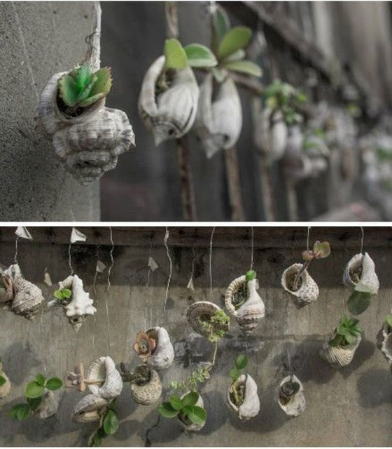 İçeceklerinizi ıslak mendille sarıp dolaba koyunca bakın ne oluyor? - Resim: 3