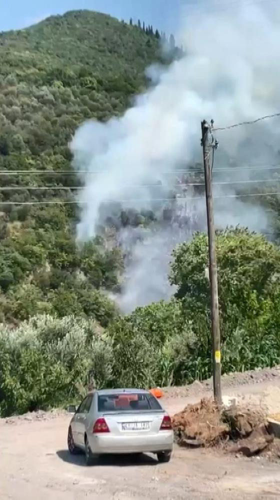 Kocaeli'de orman yangını; 1 kişi gözaltına alındı - Resim: 0