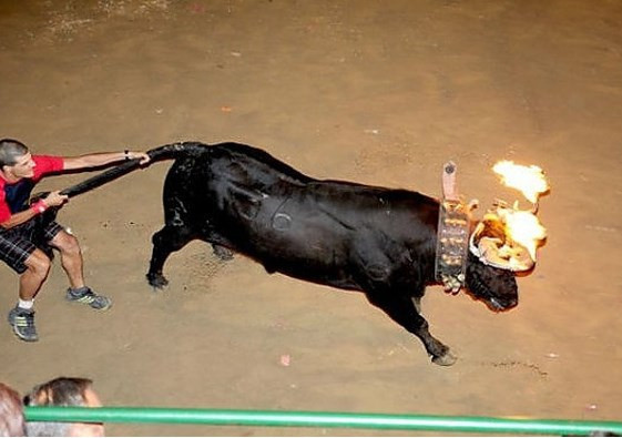 Yasal olarak hayvanlara yapılan işkenceler! - Resim: 1