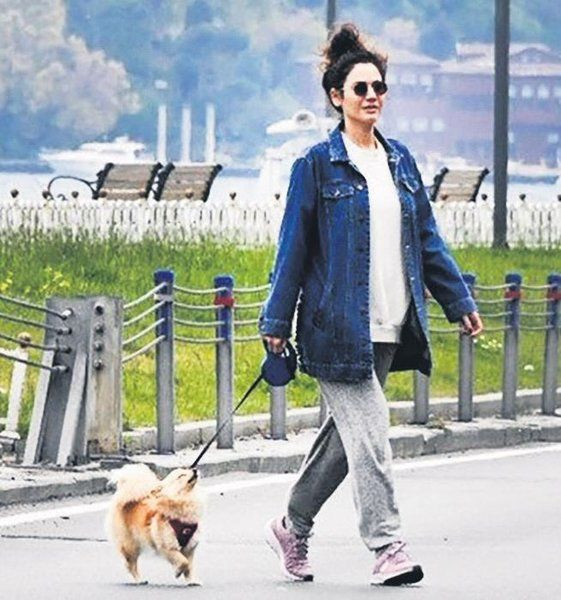 Ünlü oyuncunun köpeği işadamına dehşeti yaşattı! 'Ben saldırıya uğrarken izlediler' - Resim: 1