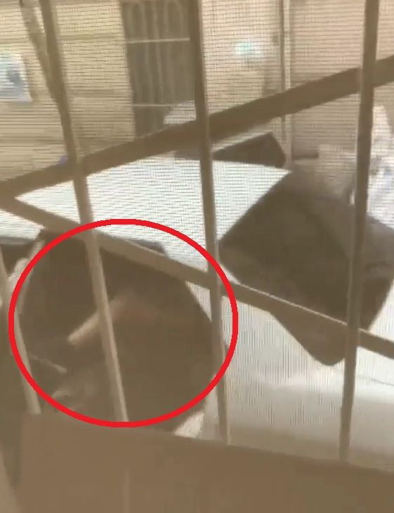 Bursa'da güpegündüz zorla kaçırılmak istenmişti meğer İrem 6.5 ay önce - Resim: 3