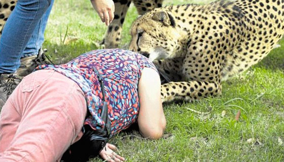 Vahşi hayvanlar kafasını böyle parçaladı - Resim: 4