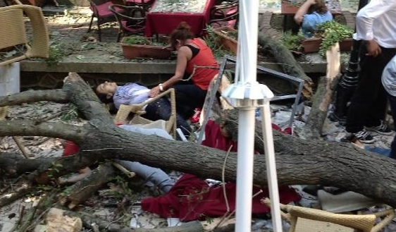 Devrilen o ağacın altından yürek burkan dram çıktı! - Resim: 2