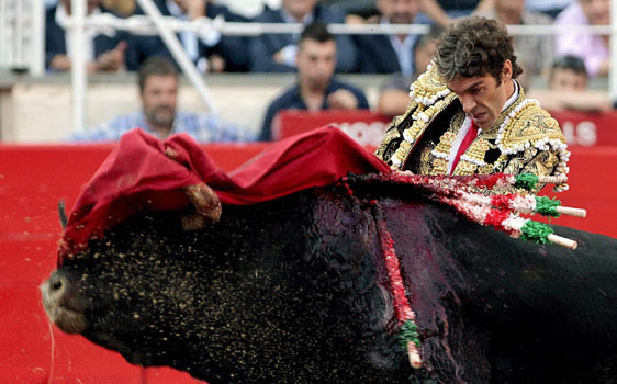 Bu vahşet son kez sergilendi - Resim: 2