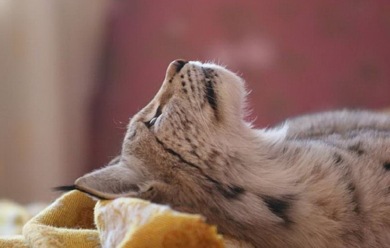 Tam o anda çekilen fotoğraflar - Resim: 3