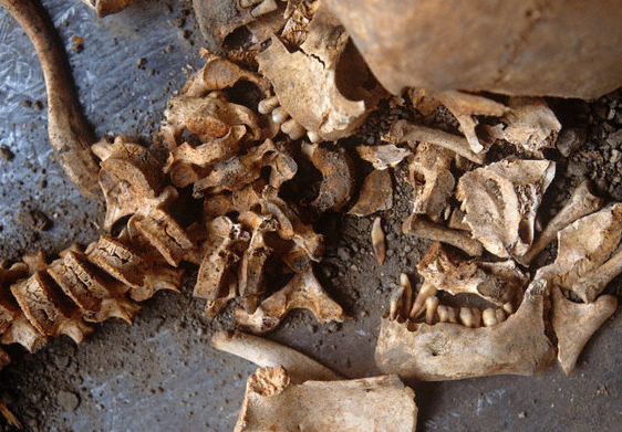 Bu günah Lût kavmini helak etti - Resim: 4