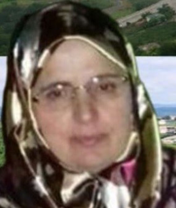 Oğlunun cenazesini almaya gelirken kazada hayatını kaybetti - Resim: 0