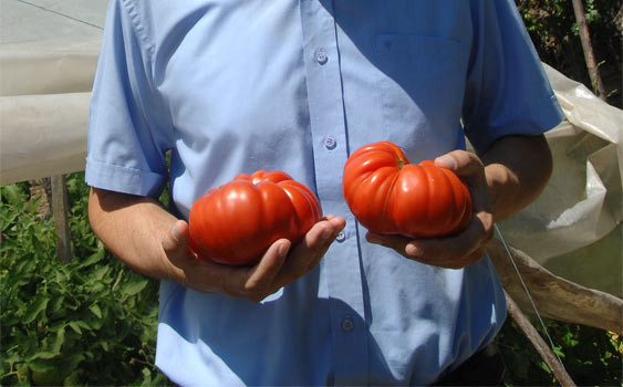 150 yıl sonra yeniden hayat buldu  - Resim: 1