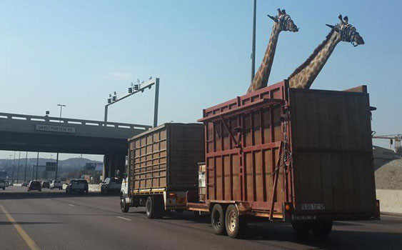 Günün en komik ve en ilginç fotoğrafları - Resim: 1