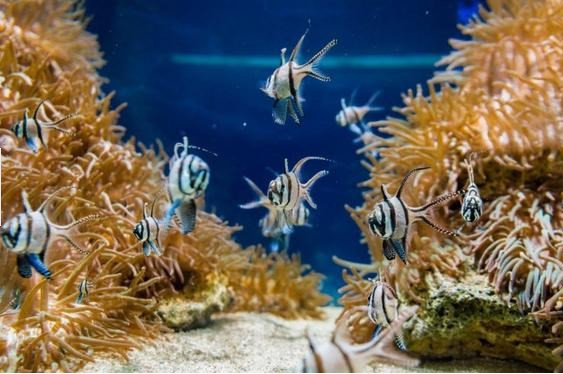 Ülkelerin garip seks yasakları! Bir tanesi var ki fena - Resim: 3