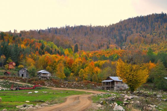 Türkiye'den etkileyici sonbahar fotoğrafları - Resim: 1