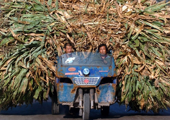 Toplu taşımanın sınırını zorlayanlar... - Resim: 4