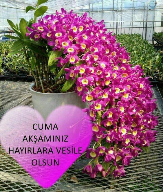 Cuma mesajları resimli 2018 yeni cuma sözleri ve hadisler - Resim: 4