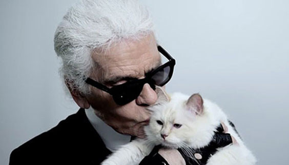 Dünyanın en zengin hayvanları - Resim: 1