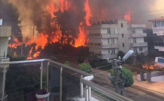 Orman yangınlarının korkunç bilançosunu Bakan Murat Kurum açıkladı - Resim: 0