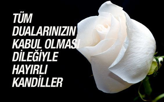 2019 Regaib Kandili mesajları (Resimli kısa öz anlamlı Kandil sözleri) - Resim: 2