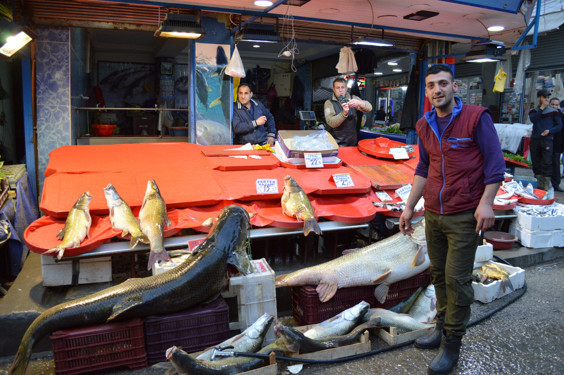 Elazığda'da balıkçılar iki metrelik dev turna balığı avladı - Resim: 1