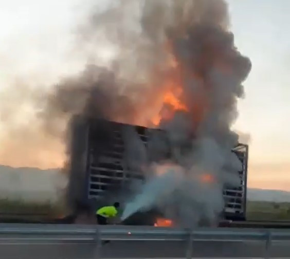 Manisa'da seyir halindeki tırın dorsesi alevlere kapıldı: Bin 500 tavuk telef oldu - Resim: 0
