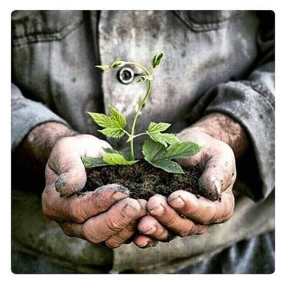 İşçi Bayramı resimli tebrik mesajları 1 Mayıs kutlama sözleri - Resim: 4