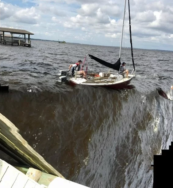 Onu bu halde yakaladı hemen kameraya sarıldı bir de sosyal medyada paylaştı - Resim: 1