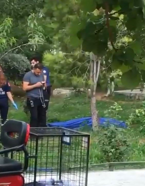 Üst geçitten atladı yaralı kurtuldu iki gün sonra 15. kattan atlayıp intihar etti - Resim: 0