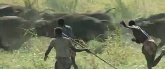 Afrika'da vahşi hayvan katliamı! - Resim: 2