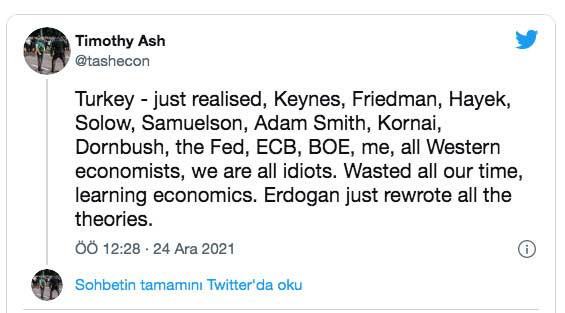 İngiliz ekonomist Timothy Ash: Erdoğan tüm teorileri yeniden yazdı - Resim: 0