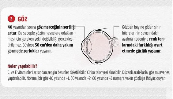Hangi organ ne kadar sürede yaşlanır? - Resim: 3