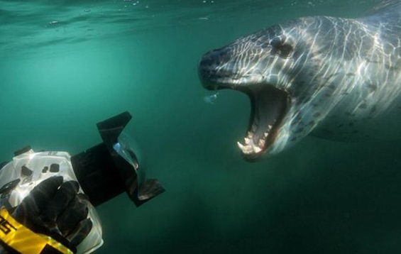 Su altında dehşet anları! - Resim: 4