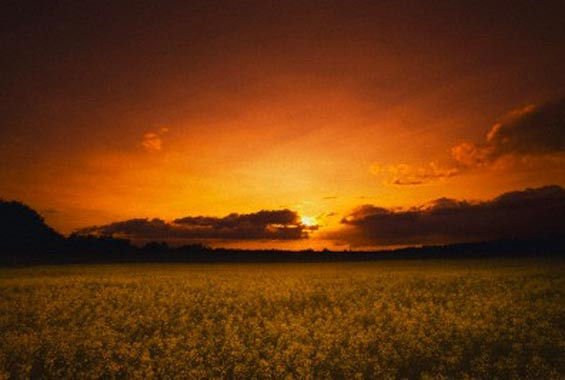 Hz. Muhammed'in rüya tabirleri - Resim: 2