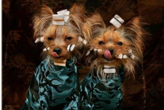 Günün en anlamsız fotoğrafları! - Resim: 1