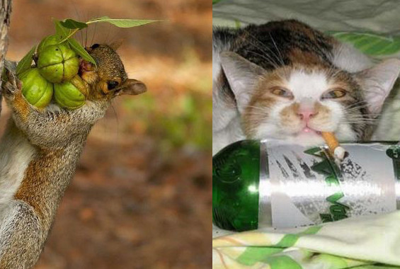 Haftanın tık rekoru kıran kareleri! - Resim: 1