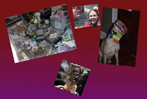 Bu kadarına da pes diyeceksiniz! - Resim: 1