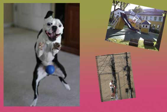 Size de biraz garip gibi gelmedi mi? - Resim: 1