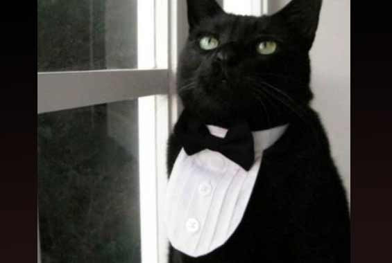 Gülme krizine sokan bomba kareler! - Resim: 1