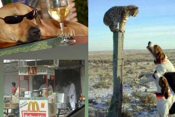 İnternetin tık rekoru kıran kareleri - Resim: 1