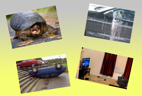 İnternette fenomen olan fotoğraflar - Resim: 1