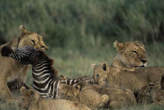 İnternetin baktıran fotoğrafları! - Resim: 1