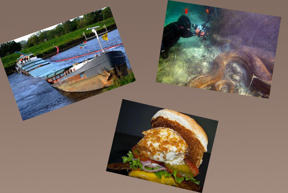 Günün tıklanma rekoru kıran komikleri - Resim: 1