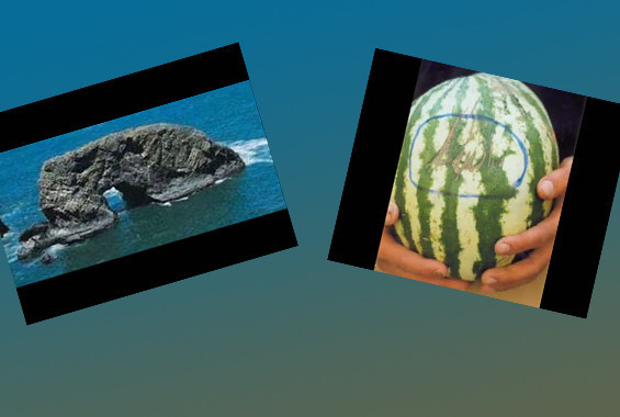 Dünya'dan ibretlik görüntüler - Resim: 1