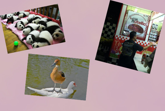 Bugün en çok bu kareler tıklandı - Resim: 1