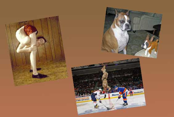 Günün en çok tıklanan ilginç kareleri - Resim: 1