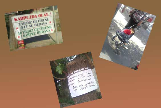 Yurdum insanı gülmekten kırıp geçiriyor - Resim: 1