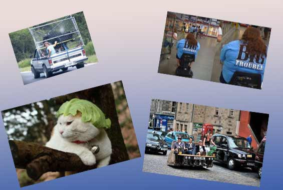 Günün tıklanma rekoru kıran kareleri - Resim: 1